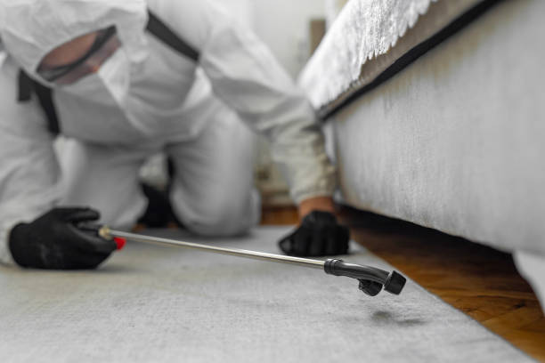 Professional Cockroach Control technician working in North Puyallup, WA