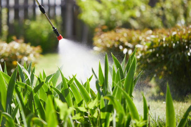 24/7 Emergency Cockroach Control experts in North Puyallup, WA