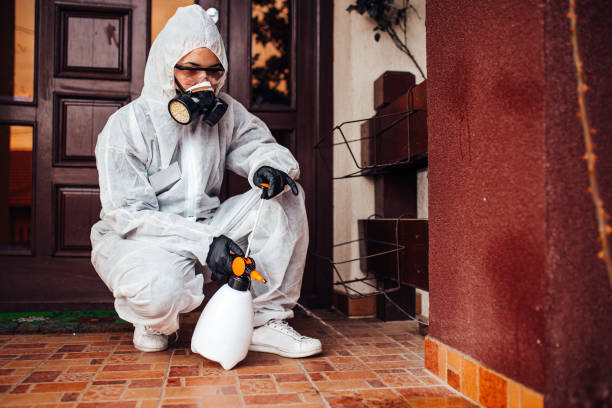 Reliable Cockroach Control contractor in North Puyallup, WA by Nex Pest Control