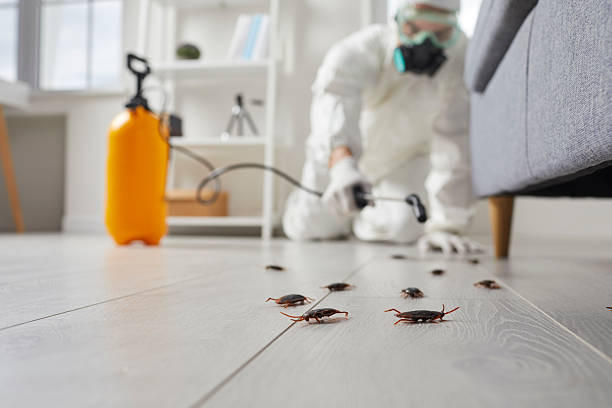 Affordable Cockroach Control solutions in North Puyallup, WA